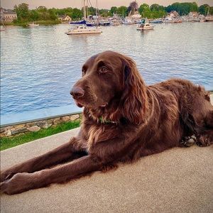 Meet your Posher, Terri